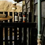 House In The Dunes At Tornby *