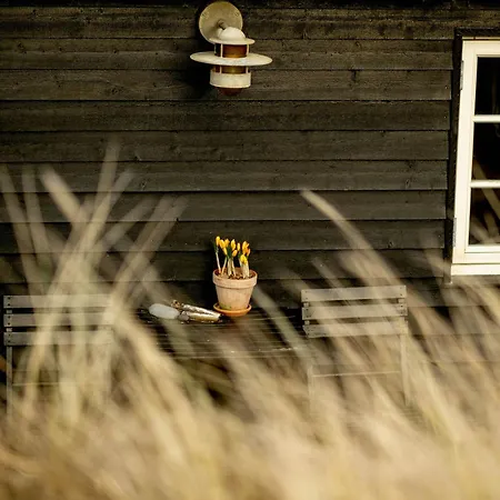 Holiday home House In The Dunes At Tornby