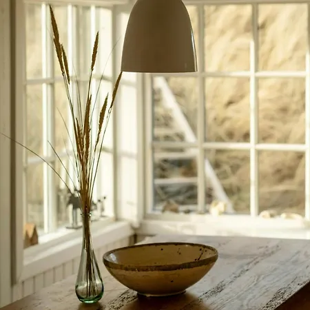 Holiday home House In The Dunes At Tornby Hirtshals