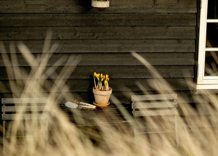 Дом отдыха Beach House In The Dunes At Tornby Strand